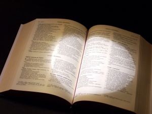 biblical justice bible